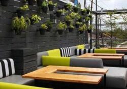 Cafe Tasarımı
